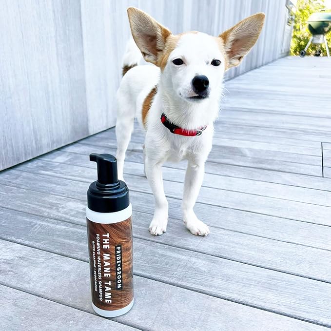 Pride and Groom The Mane Tame Dog Dry Shampoo – Waterless Foam for Dogs and Cats Made in USA for a Rinse Free Cleanse and to Eliminate Odor in Between Baths On-The-Go – 7.1 fl oz