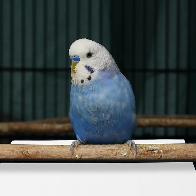 100PCS Disposable Parrot Cage Paper Liners Absorbent Urine Pads Breathable Bird Cage Cushion for and Easy Cleaning