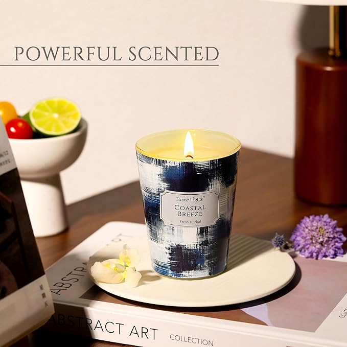 HomeLights Large jar Candle | 1-Wick Long-Lasting Scented Candles, 6.7oz Natural Soy Wax Candle for Home Scented, Scandinavian Minimalist Design Gifts for Women & Men, Coastal Breeze