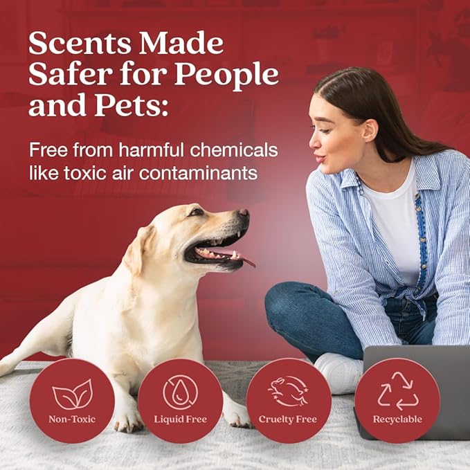 Enviroscent Non Toxic Air Freshener (Honeycrisp Apple & Cardamom) Plug-in Home Fragrance Last 45+ Days | Kit includes 1 Refillable Plug In Warmer & 1 Scent Refill