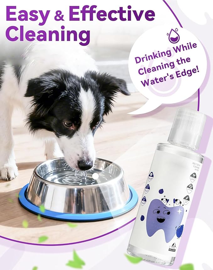 Dental Water Additive, Specialized Dental Care Formula，Natural Flavorless Teeth Cleaning Mouthwash, Freshens Dog Breath & Promotes Healthy Gums, Easy Daily Use for All Pet（1pcs）