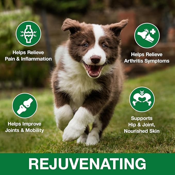 2 Pack Hemp Oil for Dogs and Cats - Anxiety Stress Sleep Allergies Arthritis Seizures Pain Relief - Promotes Skin Hip Joint Health - Calming Drops for Aggressive Pets