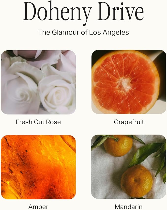 Preston Lane Signature Home Set – All Purpose Cleaner, Dish Soap, Hand Wash, Hand Cream & Scented Candle | Plant-Powered Cleaning & Care Essentials with Fine Italian Fragrance, Doheny Drive