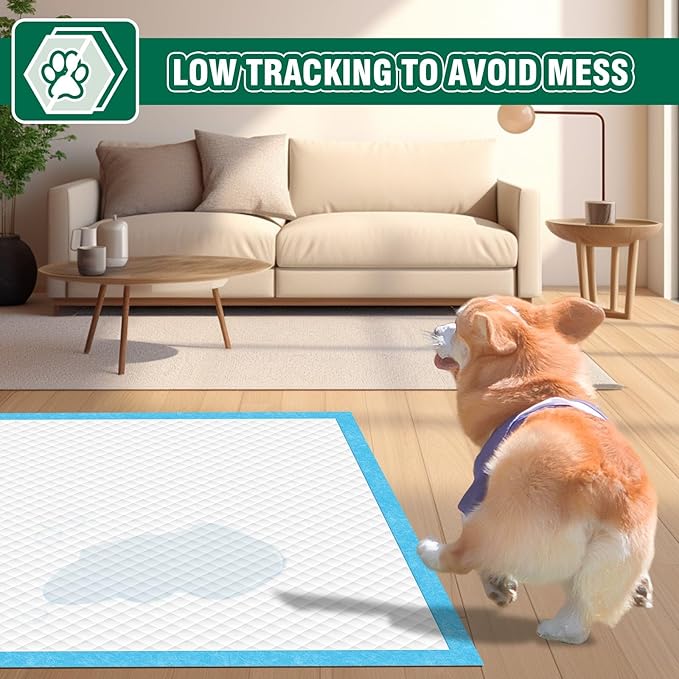 IMMCUTE Dog Pee Pads Extra Large, 36" x 44", 30 Ct, Jumbo-Size Pee Pads for Dogs, Thicken Puppy Pads XL Pet Training Pads, Super Absorbent & Leak-Proof Potty Pads for Dogs