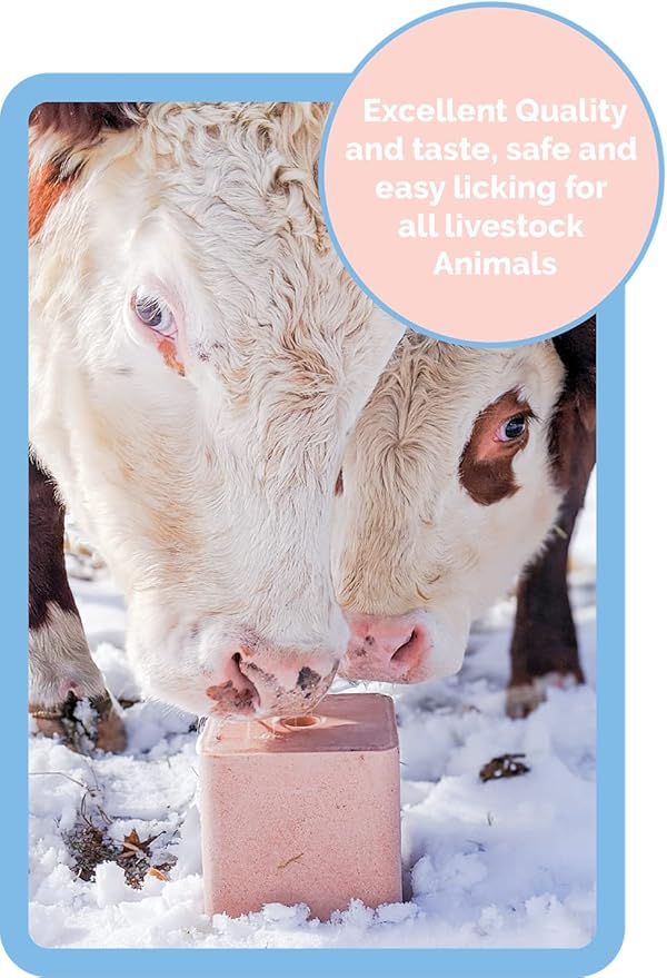 Himalayan Secrets Compressed Pink Salt Lick for Livestock and Wildlife Animals, Pure & Natural Feed Salt Block, Minerals & Trace Elements, No Additives, 22LB (10KG)