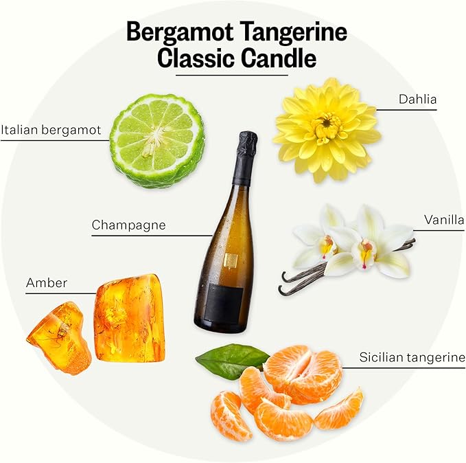 Apotheke Signature Scented Candles for Home, Bergamot Tangerine - 10.5 oz - Soy Wax, Non Toxic, Large Jar White - Luxury Candle Gifts for Women & Men - Vanilla, Amber, Dahlia, and Champagne