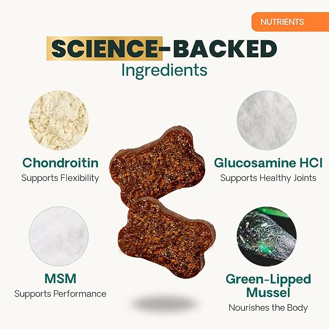 VetriScience GlycoFlex Ultimate Strength Healthy Hip & Joint Glucosamine Supplements for Dogs, with MSM, Chondroitin & Green-Lipped Mussel, Soft Chews, Bacon, 120 Count - New Look