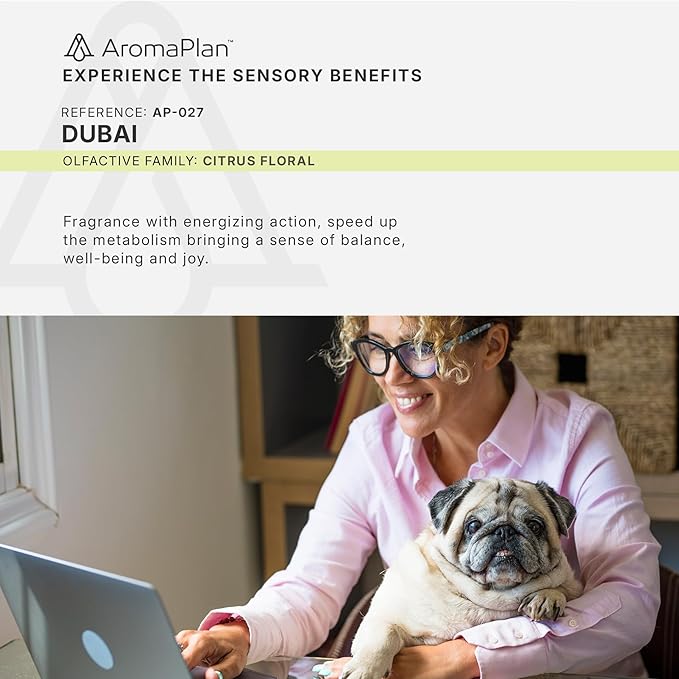 AromaPlan Hotel Scents Dubai 16 Fl Oz 2 Pack (946ml), Home Luxury Aroma & Hotel Fragrance Diffuser Oil- Hotel Diffuser Oil for Aromatherapy- USA Made, Bigger Bottle, Bolder Aroma & Longer Lasting