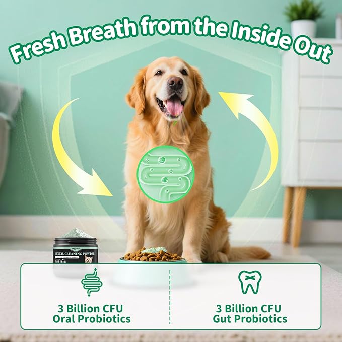 Dog Dental Powder – Teeth Cleaning Powder with 6B CFU Probiotics, Enzymes & Antioxidants, Plaque & Tartar Off, Fresh Breath Support, No Brushing Oral Care, Mint Beef Flavor, 75 Servings