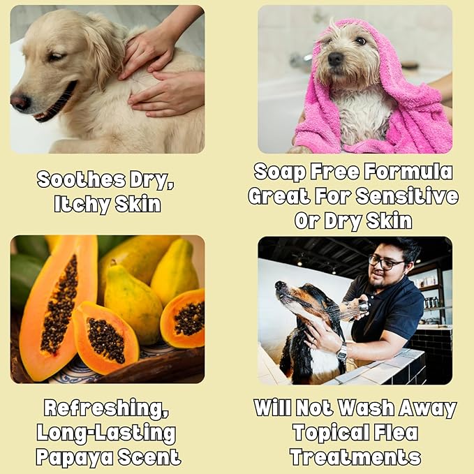 Itch Relief Oatmeal and Aloe Pet Shampoo 16 oz. for Dogs & Cats | Anti-Itch & Deodorizing Formula, Soothes and Moisturizes Dry Itchy Sensitive Skin