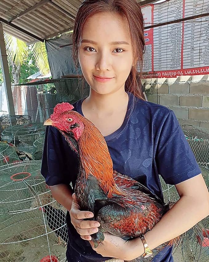 HULX Super Pigeon 100 Tablets, Bird Booster & Rooster Booster Speed Vitamins Health Chicken Supplement Increasing Energy Flying, Muscle Bone, Reduce Cramp Feed All Poultry Hen Food