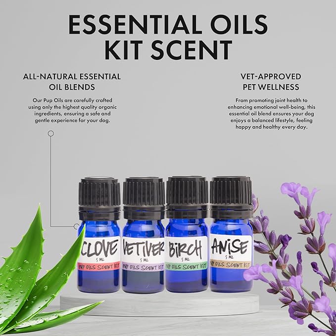 Ink Oil - Pup Scent Work Starter Kit I Dog Scent Training Kit I Complete Nose Scentwork - Anise, Birch, Clove & Vetiver Flavour I Portable Small Aid Kit for Pet Home Trainer - Pure Essential Oils Sets