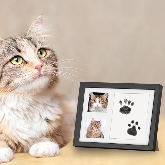 Paw Print Kit for Dogs & Cats, Inkless Pads (2), Reversible Stand/Wall-Mount Frame, Pet Paw Impression Gift Set (Black)