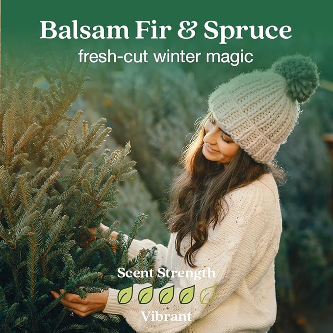 Enviroscent Air Freshener for Home (Balsam Fir & Spruce) Essential Oil Diffuser | Air Freshener & Room Freshener | Home Fragrance Last Over 30 Days | 8 Scent Stix Refills