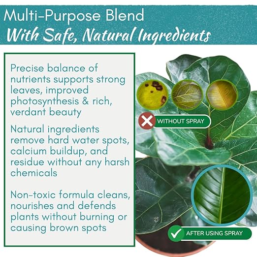 Houseplant Leaf Shine Spray – All-Natural Leaf Cleaner and Gloss for Healthy Shine & Better Photosynthesis | Perfect for House Plants and Foliage | 8 oz