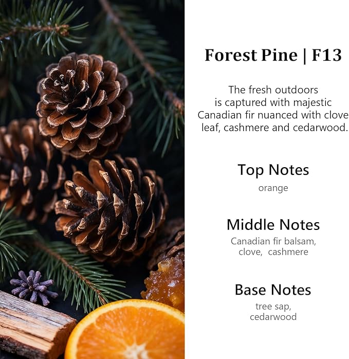 HoogaLife Car Air Freshener Diffuser 2 Pack Hanging Air Freshener Diffuser - Coconut Fragrance Oil Air D iffuser for Car, 45+ Days Long Lasting Fragrance Made in USA （F13）