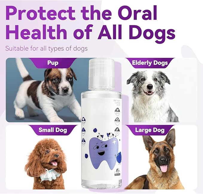 Dental Water Additive, Specialized Dental Care Formula，Natural Flavorless Teeth Cleaning Mouthwash, Freshens Dog Breath & Promotes Healthy Gums, Easy Daily Use for All Pet（1pcs）