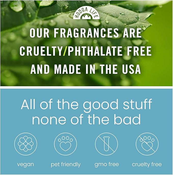 HoogaLife Car Air Freshener Diffuser 2 Pack Hanging Air Freshener - New Car Fragrance Oil Air Diffuser for Car, 45+ Days Long Lasting Fragrance Made in USA (N82)