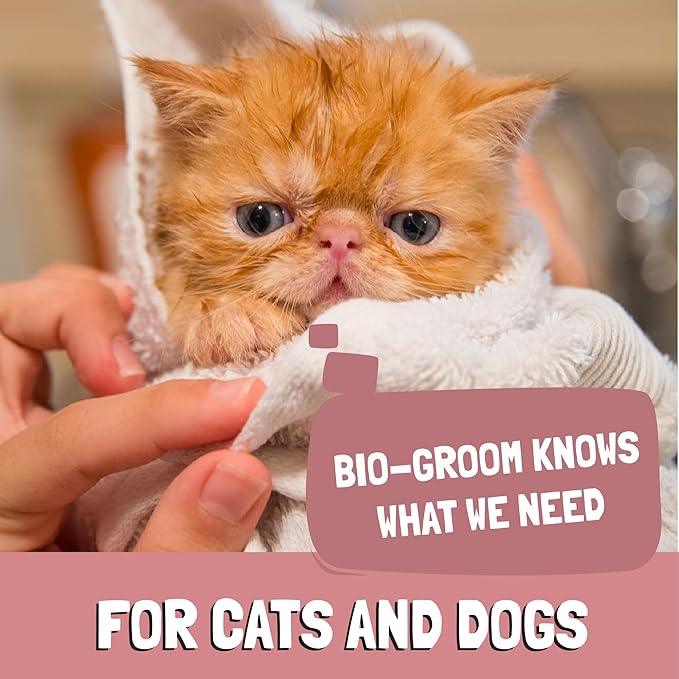 Bio-Groom Ear Mite Treatment - Dog Ear Infection Treatment, Cruelty-Free, Made in USA, Dog Ear Drops, Gentle Wax Remover, Ear Cleaner for Dogs and Cats - 4 fl oz 1-Pack