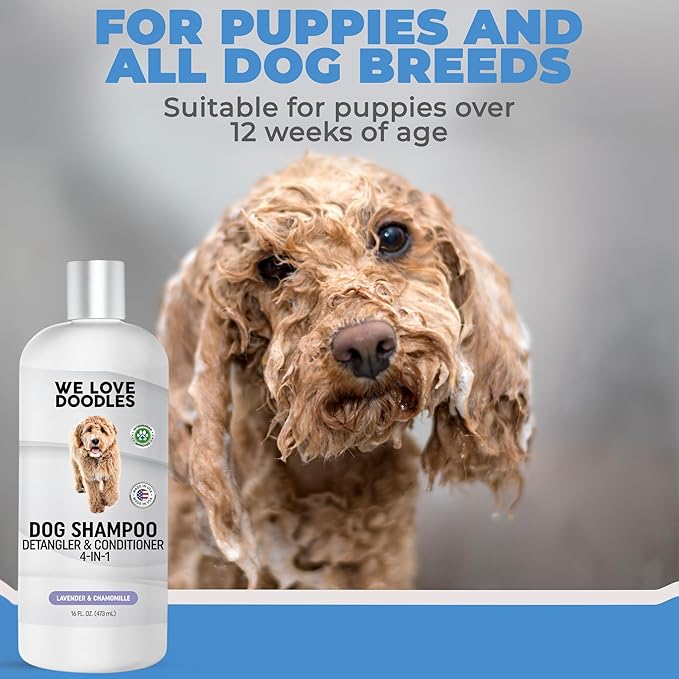 We Love Doodles Dog Shampoo, Conditioner, & Detangler - Shampoo for Dogs, Goldendoodles, Poodles & Doodles, for Matted Pet Hair & Sensitive Skin, Made in The USA, Lavender, 16 oz
