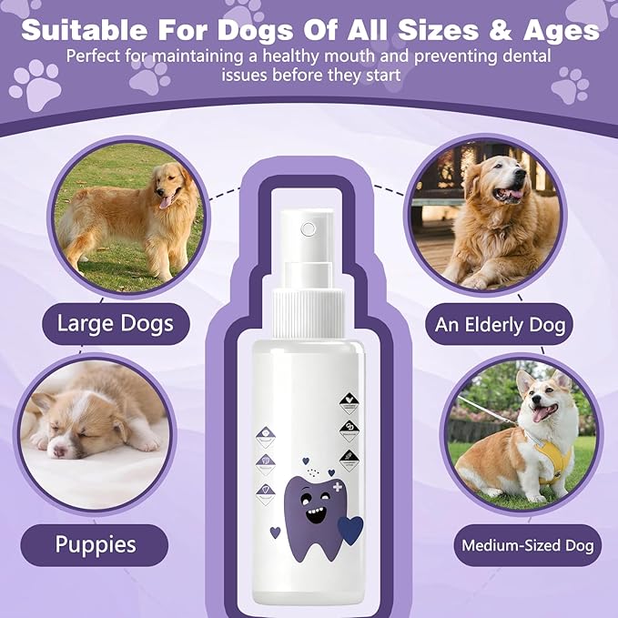 Pawbright Dental Plus,Natural Odorless & Flavorless Formula to Fight Tartar,for Dental Water Additive,Promote Healthy Gums & Freshen Breath Easy Daily Use for All Pet