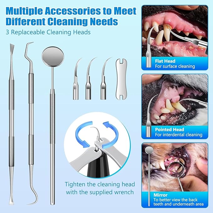 KT Dog Teeth Cleaning Kit for Small & Large Dogs – Complete Pet Dental Care Set with Enzymatic Toothpaste, Dual-Head & Finger Toothbrush – Plaque & Tartar Remover, Fresh Breath Oral Hygiene Solution
