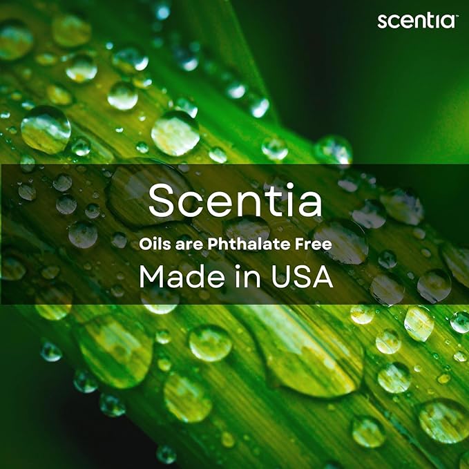 Scentia Fragrance Oil Blend, Inspired by Iconic Perfume,Home Luxury Scents, Essential Oil Blend for Aromatherapy Diﬀusers, Humidifiers & Candle Making -Dream Away- 50ml, 1.69 Fl Oz, Thanksgiving Gift