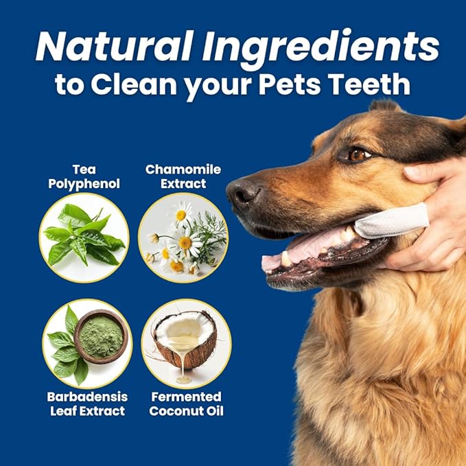 Dr. Paws: Pet Dental Finger Wipes - Natural Ingredients, Easy to Use Dog Teeth Cleaning Wipes for Effective Dog Teeth Cleaning - Ideal Dog Dental Wipes for Optimal Oral Hygiene