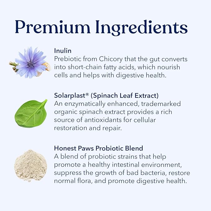 Honest Paws Probiotics for Dogs & Dog Multivitamin - Glucosamine Chondroitin for Joint Health - Allergies, Immunity, Gut Health - Digestive and Skin & Coat Support