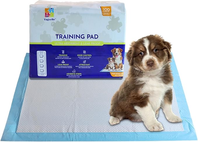 Fresh Scent Pet Training Pads - Ultra Absorbent Pads for Dog Cat Puppy Leak-Proof, Odor Control Pee Pads – Quick Dry Potty Pad for Puppies, Small Dogs, and Senior Pets (23" x 23", 100 Count)