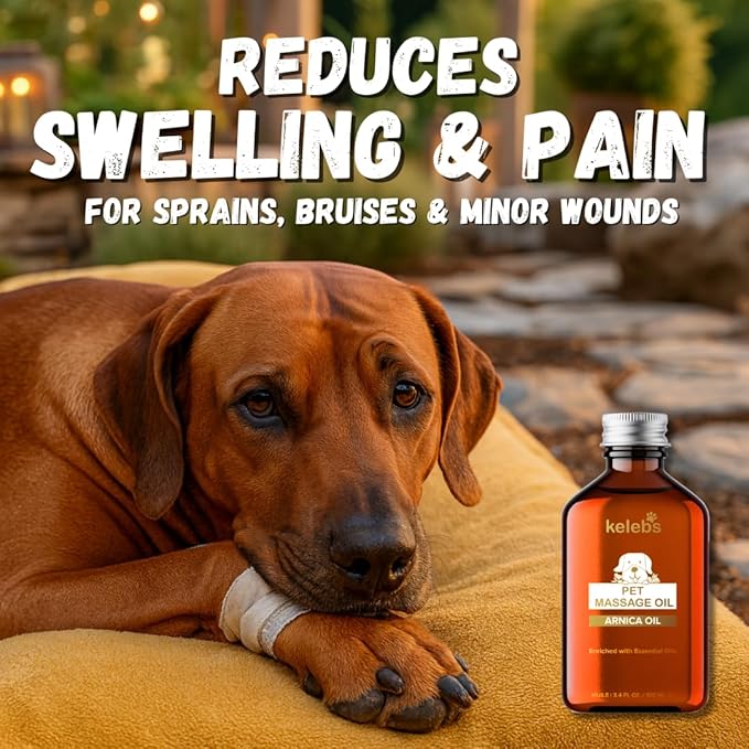 KELEBS Dog Arnica Massage Oil | Pain Relief for Muscles, Arthritis, HIPS, and Joints | for Active & Senior Dogs | Organic Essential Oil Blend with Arnica | Glass Bottle (2 Pack)
