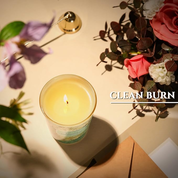 HomeLights Balsam Cedarwood Scented Candles | 6.7oz Soy Candles Industrial Chic Large Candle Jars | Ideal Candle Gifts for Events, Home Decor Stress, Relief & Relaxation