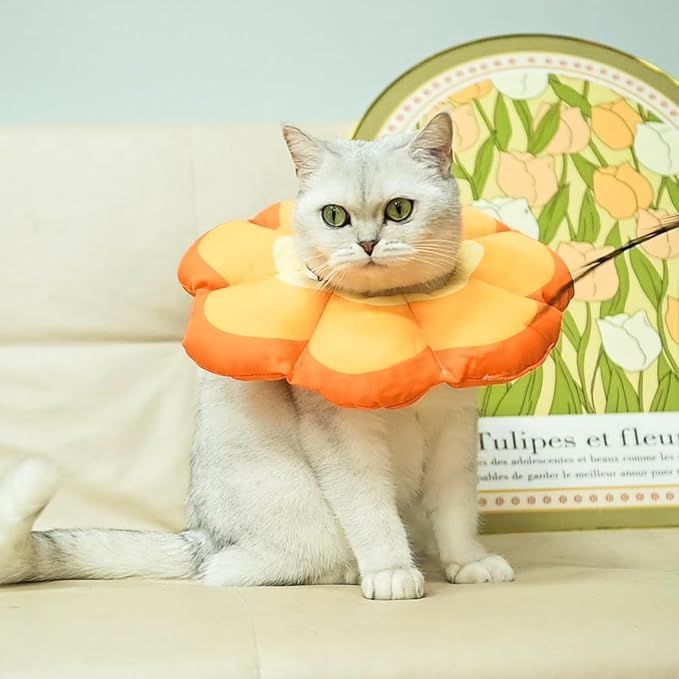 PUPTECK Cat Cone Collar Soft, Adjustable Protective Recovery Flower Collar Alternative, Comfortable Elizabethan Cat Collar Lightweight Stop Licking Neck Cone for Cats After Surgery, Orange, M
