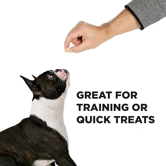 Healthy Dog Reward Treats - Hive Bites - 12 oz. Ñ All Natural Small Dog Bites for Training, Natural Peanut Butter Flavored, Vegetarian Chews, Made in The USA