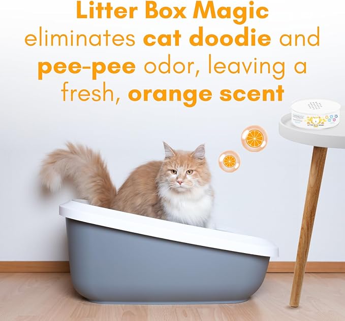 Cat Litter Deodorizer Jar (Orange Scent, 16 Oz, Pack of 2) - Cat Litter Odor Control Gel In A Jar - Cat Litter Box Pet Air Freshener - Litter Odor Eliminator to Freshen Air