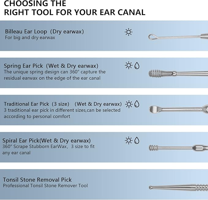 Hion 8 Pcs Ear Wax Removal Kit,Professional Double-Headed Ear Pick Earwax Removal Tools,316L Stainless Steel Ear Cleaner Curette with Cleaning Brush and Storage Box,Suit for Kid Adult(Silver)