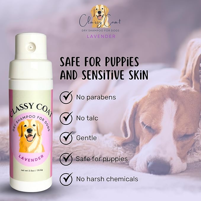 Dry Shampoo & Coat Deodorizer for Dogs (Lavender) | Waterless No-Rinse Squeeze Bottle Powder Formula | Calming Lavender Scent | Talc and Alcohol Free | Safe for Sensitive Skin | Made in USA