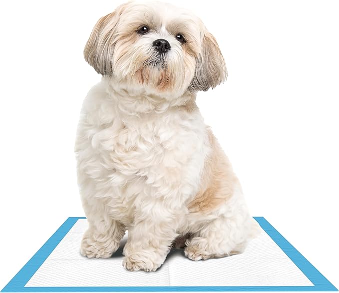 Inspire Disposable Chux Underpads, 23 x 36 Inches, (Pack of 300)