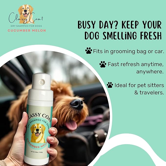 Dry Shampoo & Coat Deodorizer for Dogs (Cucumber Melon) | Waterless No-Rinse Squeeze Bottle Powder Formula | Calming Lavender Scent | Talc and Alcohol Free | Safe for Sensitive Skin | Made in USA