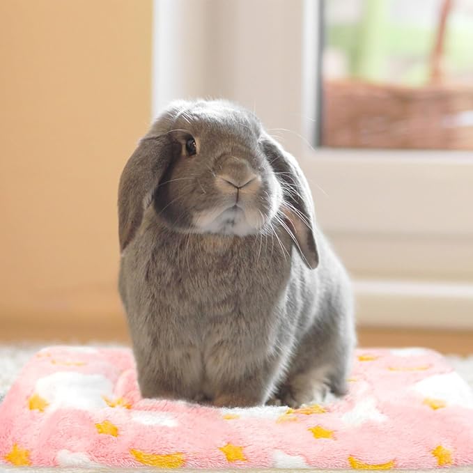3PCS Guinea Pig Bed Soft Rabbit Bedding Cage Liner Warm Bunny Mats Pee Pads Fleece Blanket Plush Hamster Sleep Beds Ferret Squirrel Hedgehog Rat