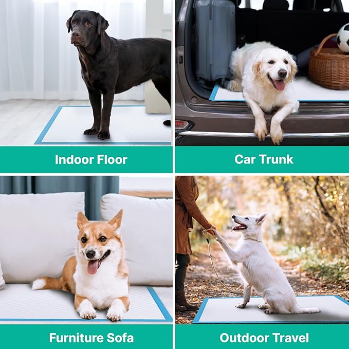 JollyMate Dog Pee Pads Extra Large 36"x36", 30 Pack X-Large Super Absorbent Pet Training Pads with Adhesive Tabs, 6 Layers Thick Leak-Proof Potty Pads for Dogs and Puppies