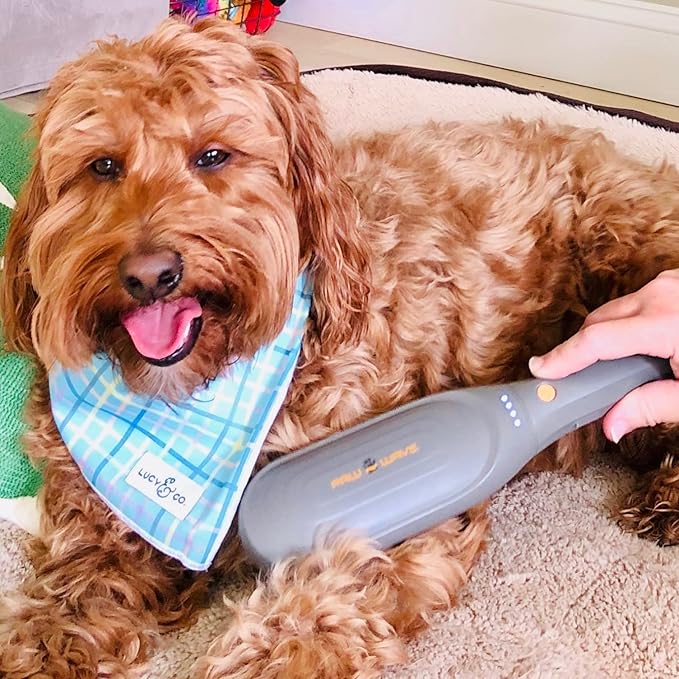 Buzz Therapeutic Brush Vibration Pet Massager for Dogs and Cats Designed to Help Soothe Tension, Increase Circulation and Relieve Tight Muscles