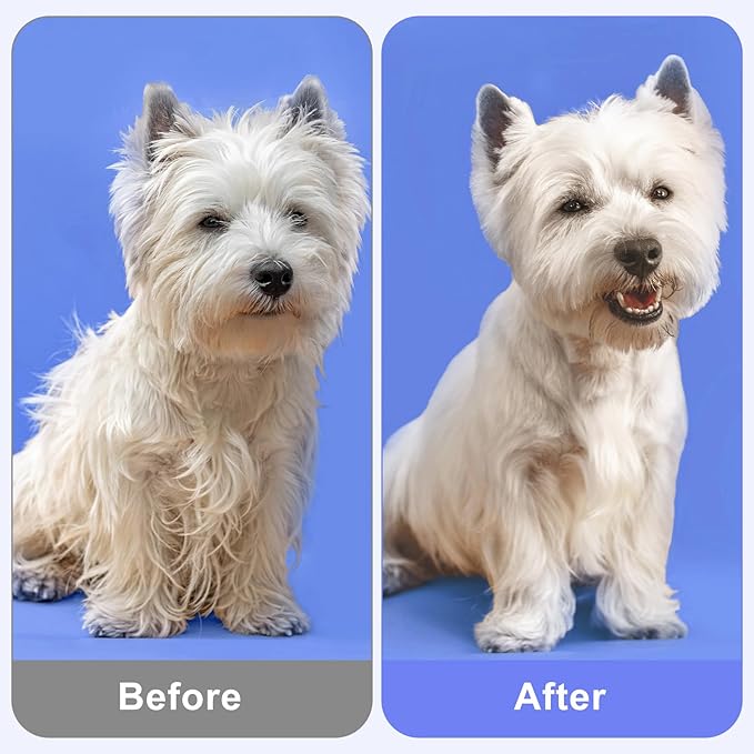 6-Pack Flea Comb for Cats Stainless Steel Lice Comb Set Dog Flea Brush Double-Sided Tear Stain Remover Pet Grooming Kit for All Types of Small Medium Large Pets (Blue)