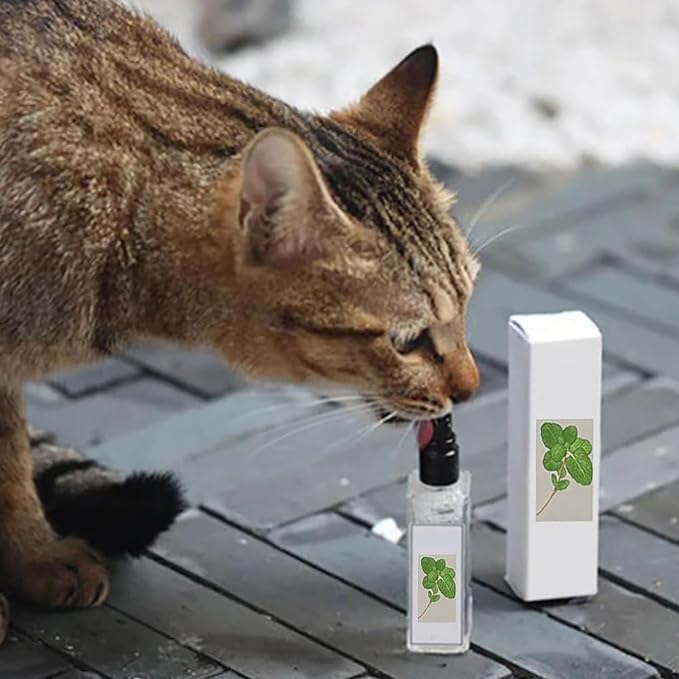 Herbal Cat Joy, Herbal Cat Joy Spray, Catnip Spray for Indoor Cats, Cat Calming Spray, Anti Scratch Cat Spray, Cat Training Spray with Catnip, Cat Nip Spray (5PCS)