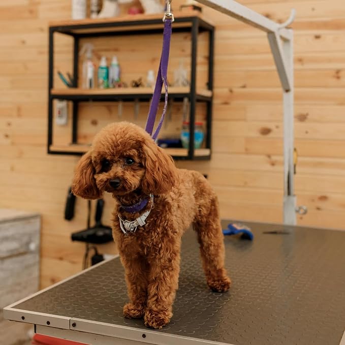 2 Pack Grooming Loops for Dogs Groomers Adjustable Nylon Groomers Helper for Dog Cat Pet Fixed Safety Rope Bathing Tether Straps Restraint