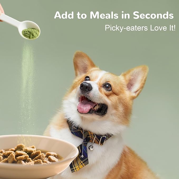 Dog Teeth Cleaning Powder, Dental Powder for Dogs Teeth & Tartar Remove & Plaque Off, Breath Freshener for Dogs with Natural Plants Blend and Probiotics, 45g Portable Size