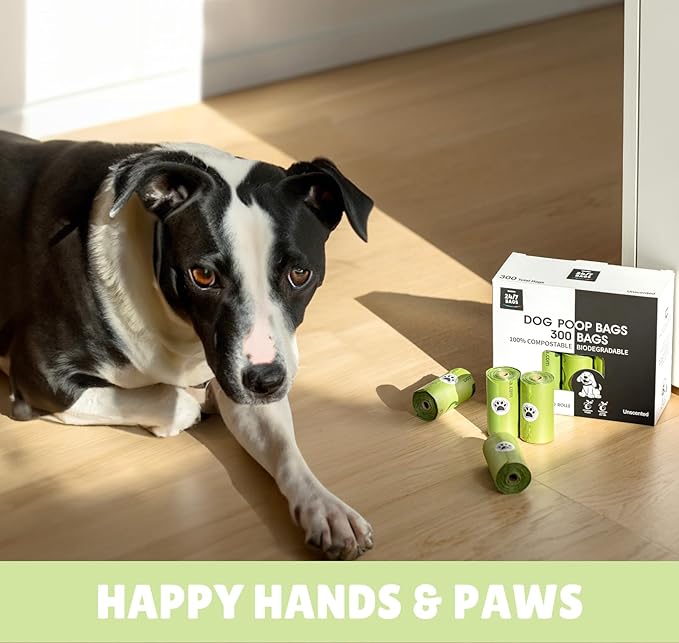 100% Certified Compostable Dog Waste Bags, 300 Count, ASTM D6400 Standard, OK Compost, 9 IN x 13IN, Unscented (20 Rolls, 15 Bags)