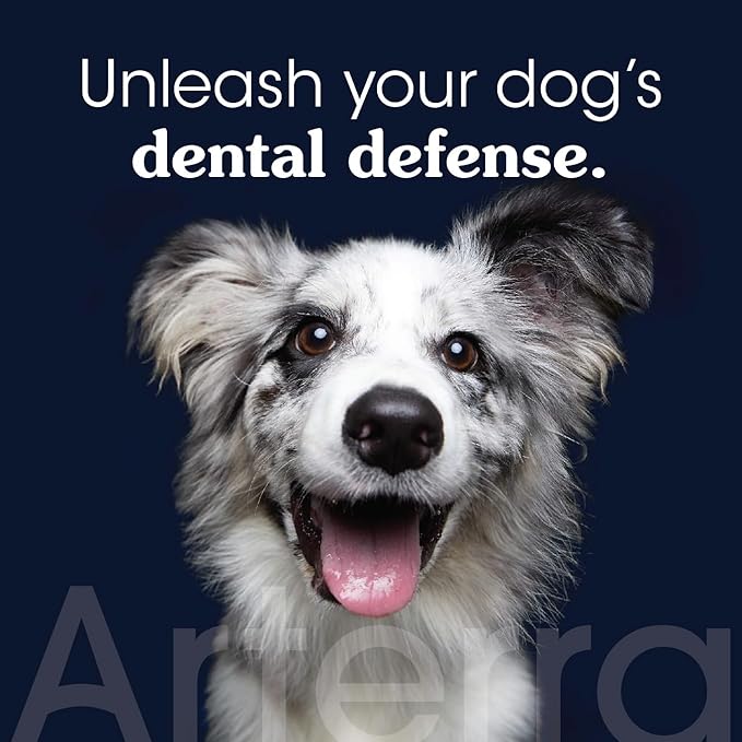 Remineralizing Dog Toothpaste – Vet-Grade, with Nano-Hydroxyapatite, Reverses Early-Stage Decay, Cleans Teeth, Reduces Tartar, Freshens Breath by Arterra Pet Science, Plant-Based, Natural Flavor, 3oz