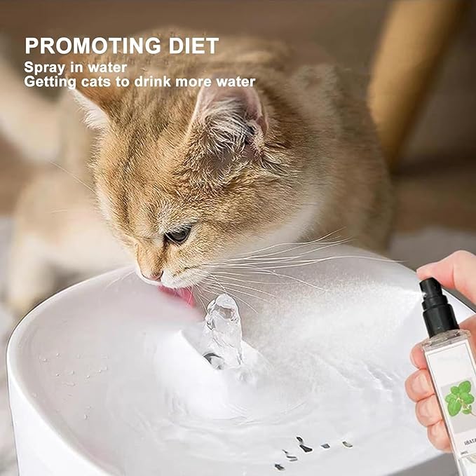 Herbal Cat Joy, Herbal Cat Joy Spray, Catnip Spray for Indoor Cats, Cat Calming Spray, Anti Scratch Cat Spray, Cat Training Spray with Catnip, Cat Nip Spray (5PCS)