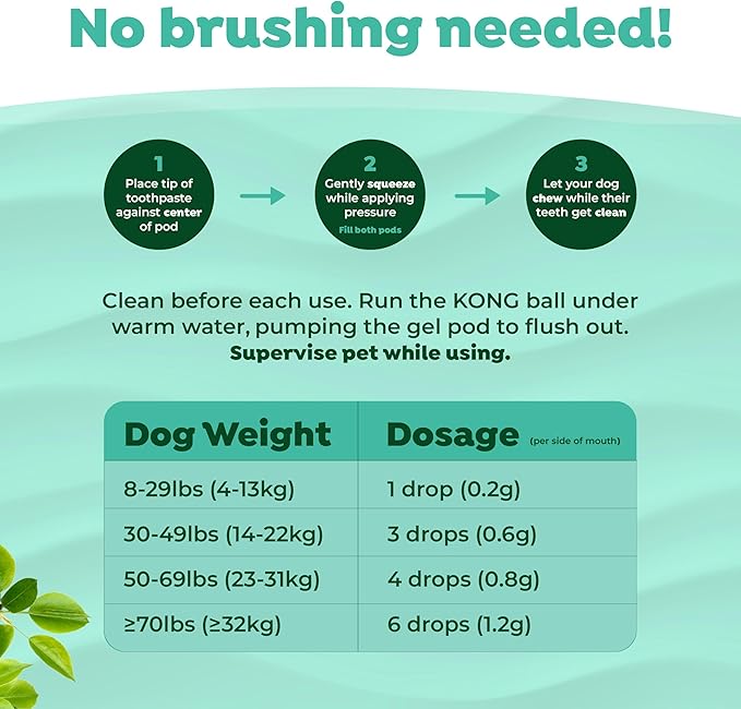 TropiClean Fresh Breath - Kong Dental Ball for Medium Dogs - Dog Teeth Cleaning Kit - Removes Plaque - Peanut Butter & Honey Dog Toothpaste, 1oz